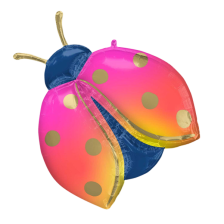 Supershape Colorful Ladybug